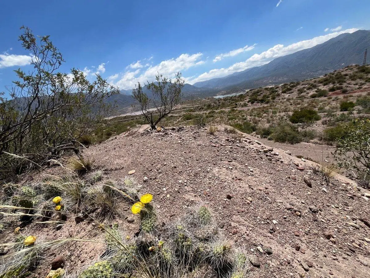 Venta Lote Potrerillos Frente al Lago R7 Km 1094 2