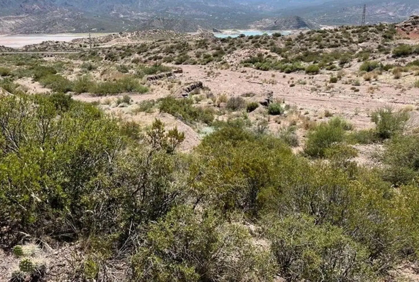 Venta de lote en Potrerillos 4
