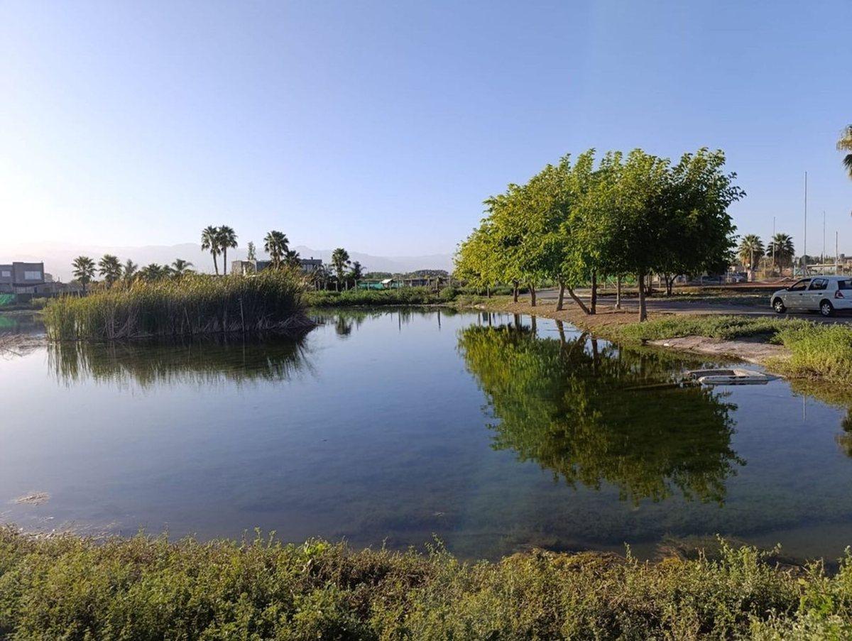 Foto de Lote en venta Barrio Privado Nautilus 1.100 m2, imagen 4