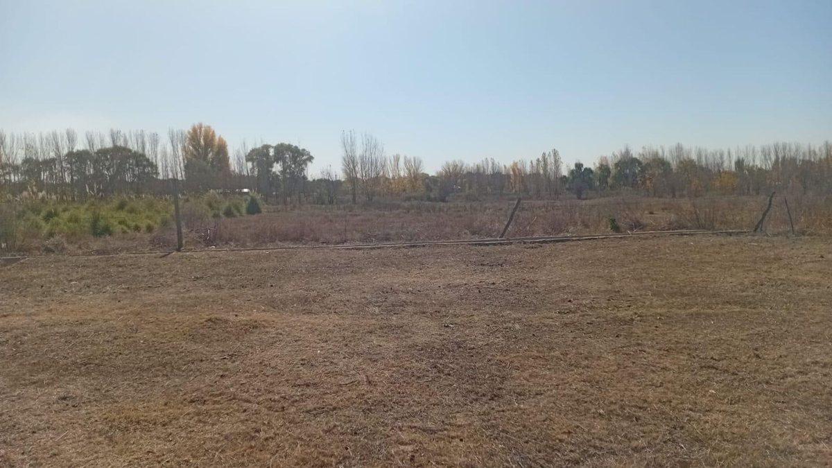 Foto de VENTA LOTE!!! COLONIA LAS ROSAS, TUNUYÁN, imagen 3