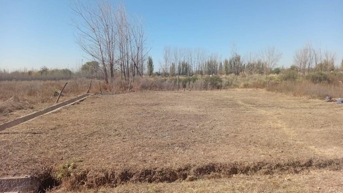 Foto de VENTA LOTE!!! COLONIA LAS ROSAS, TUNUYÁN, imagen 2