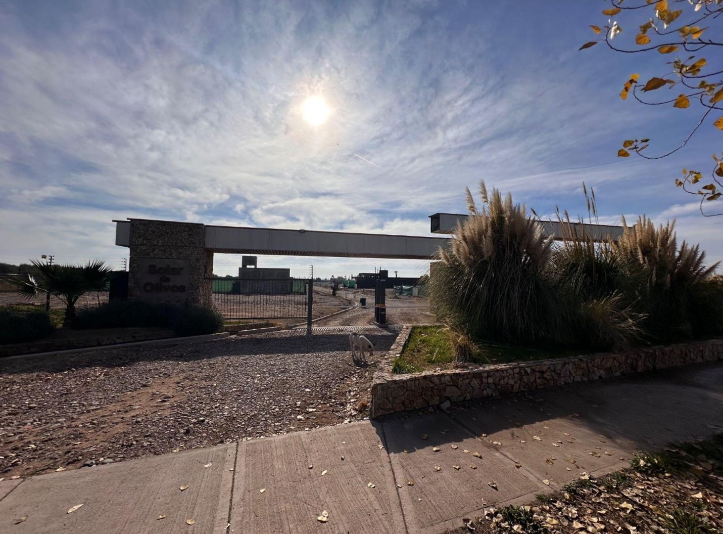 Foto de VENTA TERRENO BARRIO PRIVADO SOLAR DE OLIVOS, imagen 3