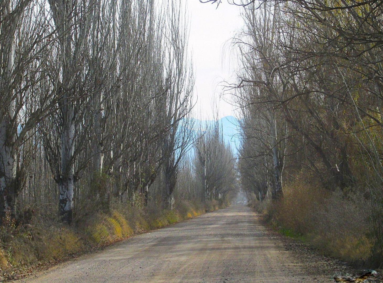Foto de Finca 17 hectreas en Venta en Tunuyán Valle de Uco, imagen 2