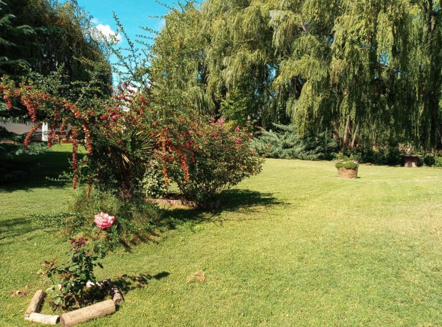 Foto de VENTA-CASA COLONIA LAS ROSAS-TUNUYAN-MENDOZA, imagen 3
