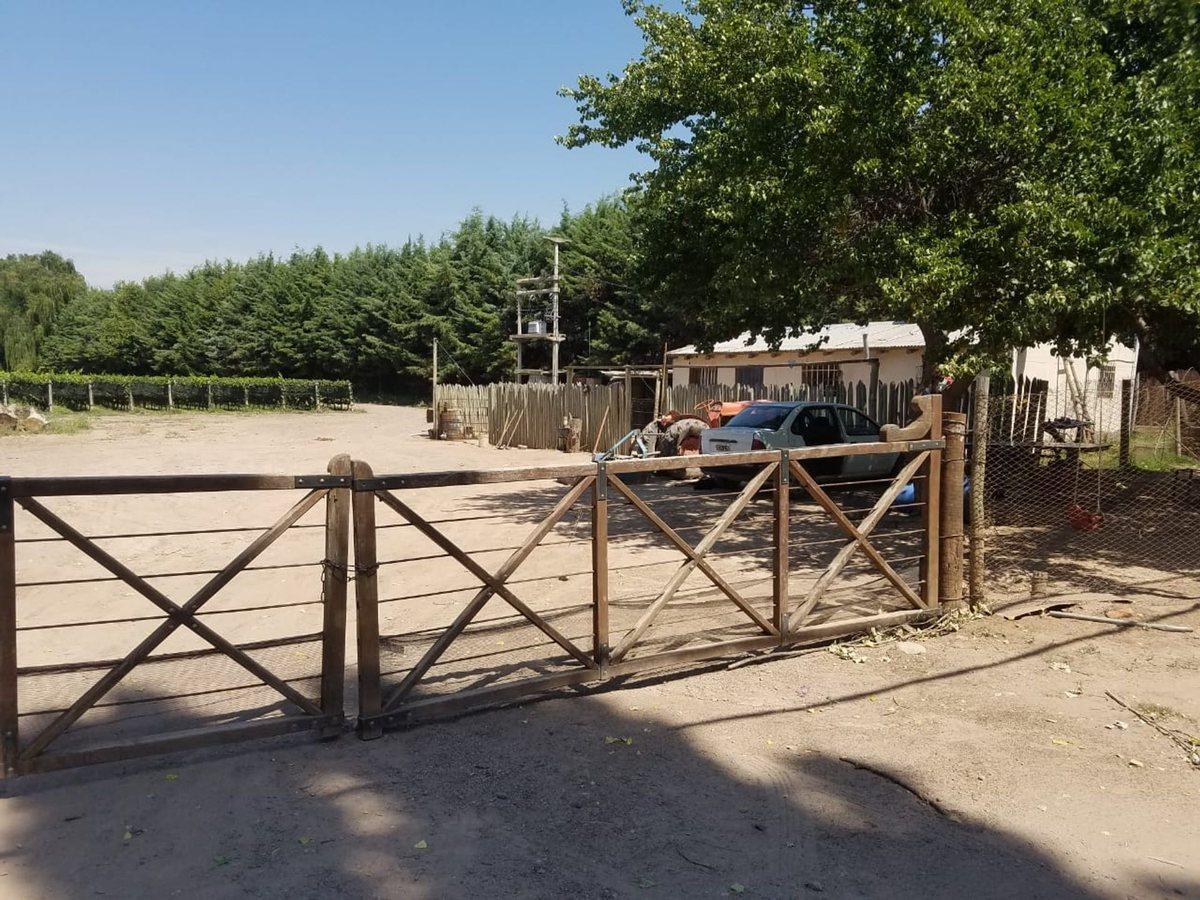 Foto de Finca de 33 hectáreas a la Venta en Agrelo, imagen 3