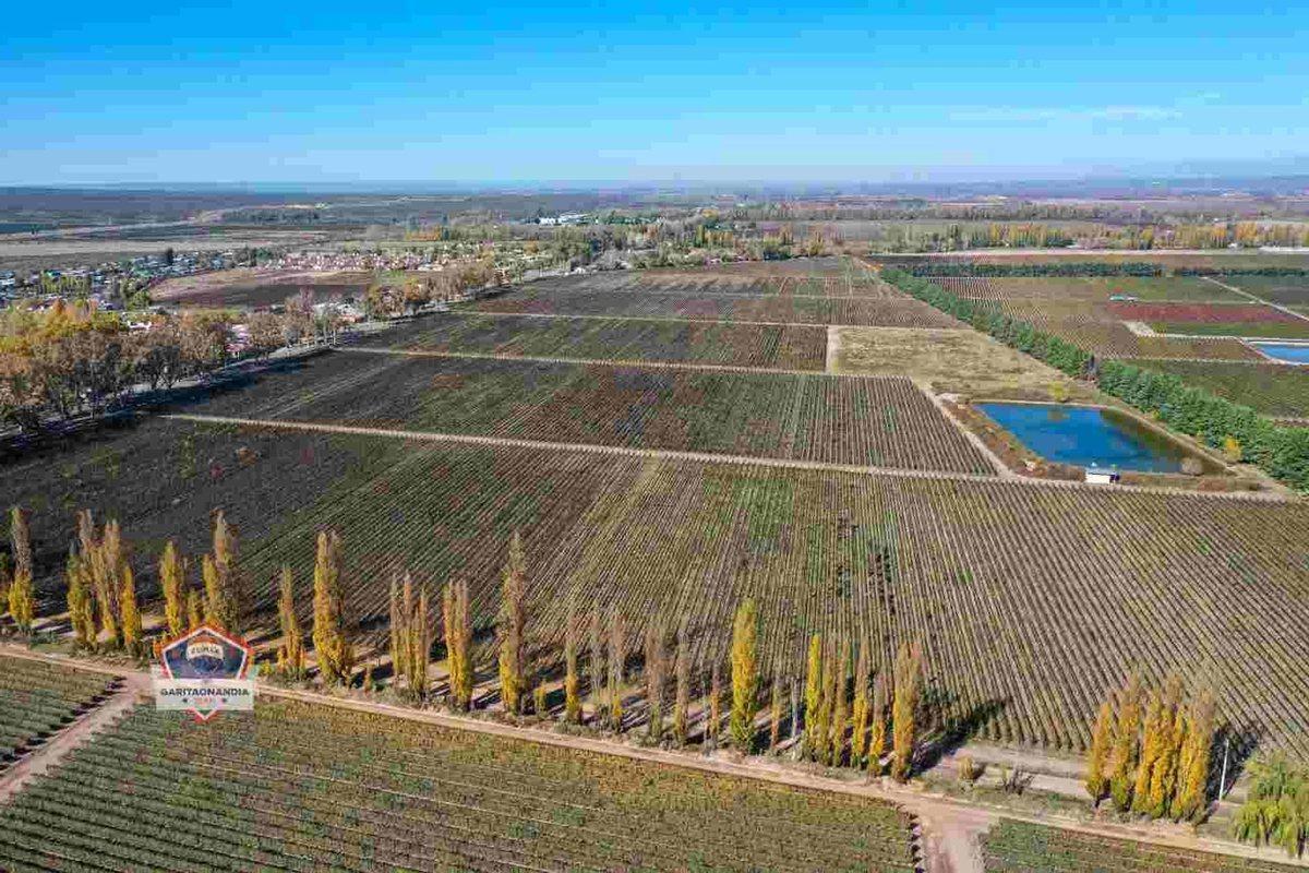 Foto de Finca de 33 hectáreas a la Venta en Agrelo, imagen 5