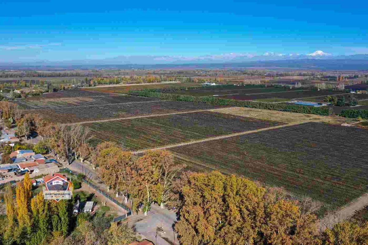 Foto de Finca de 33 hectáreas a la Venta en Agrelo, imagen 4