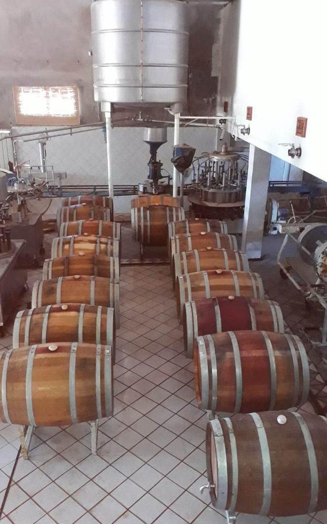 Foto de BODEGA VENTA EN FUNCIONAMIENTO SAN MARTIN MENDOZA, imagen 5