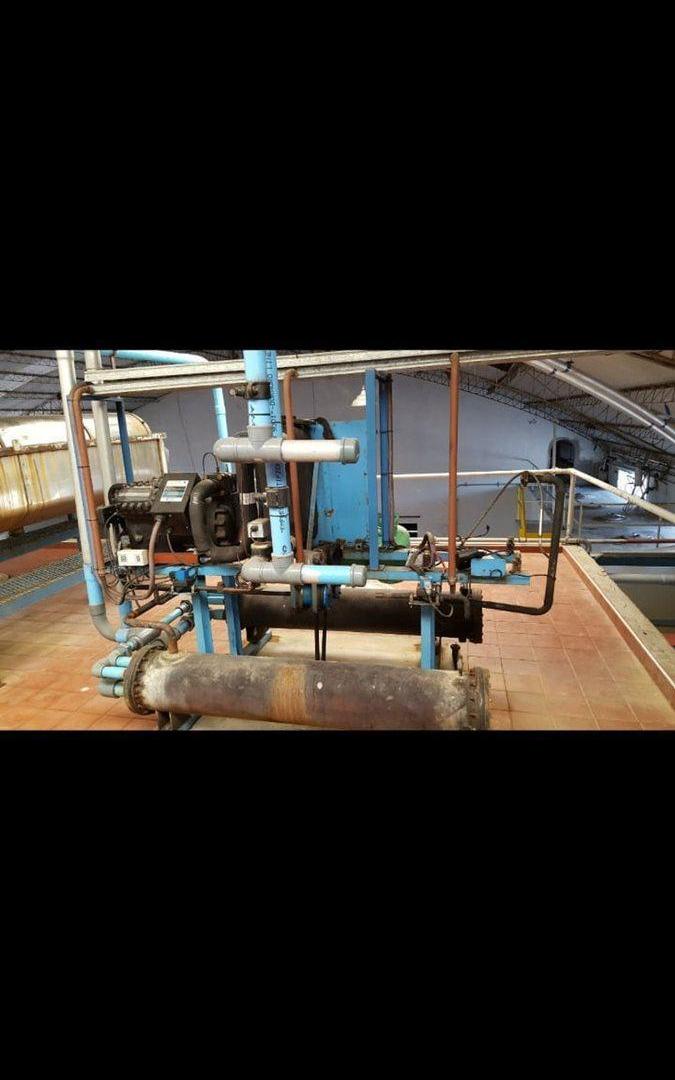 Foto de BODEGA VENTA EN FUNCIONAMIENTO SAN MARTIN MENDOZA, imagen 2
