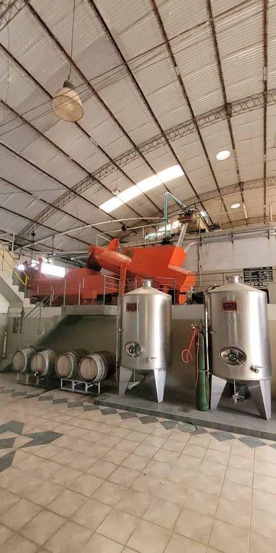 Foto de BODEGA VENTA EN FUNCIONAMIENTO SAN MARTIN MENDOZA, imagen 1