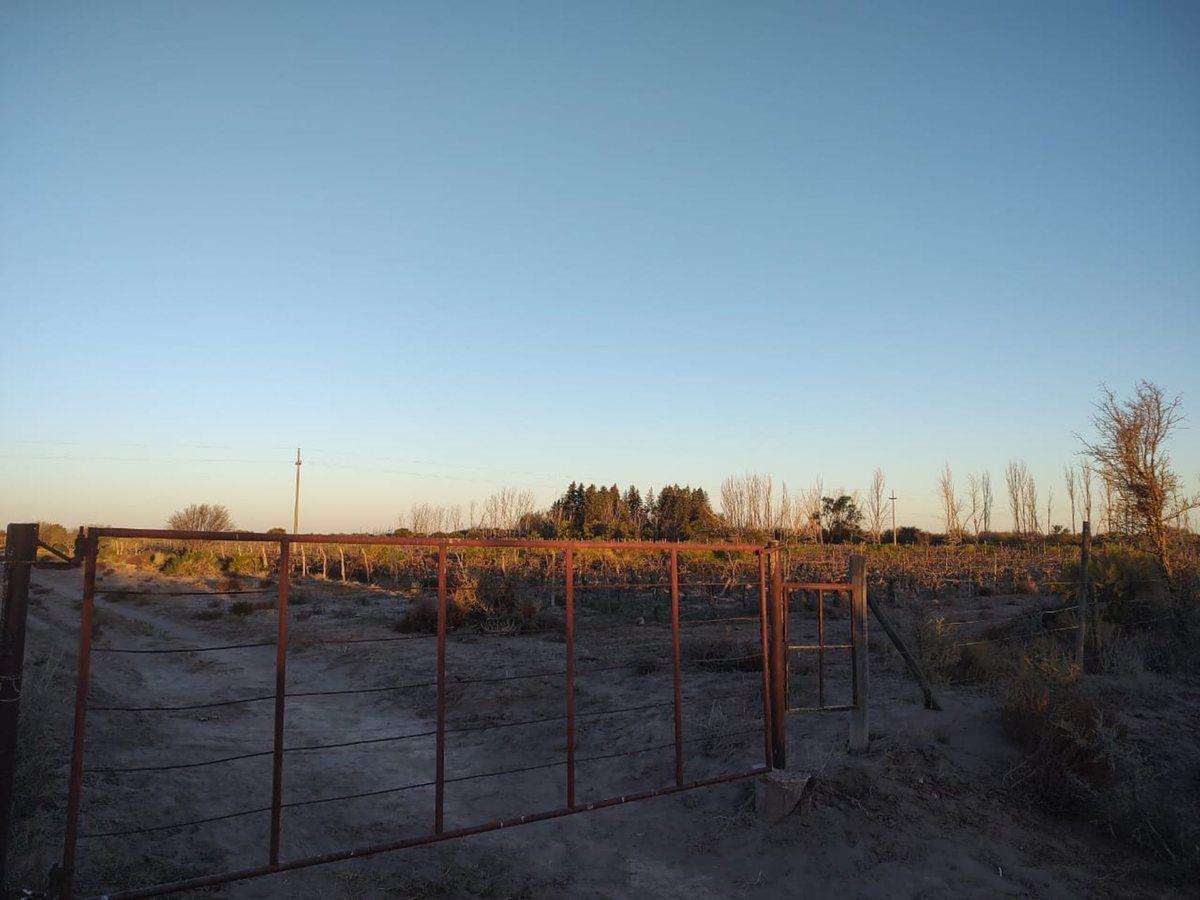 Foto de VENTA FINCA 75 Ha c/pozo - La Dormida, imagen 3