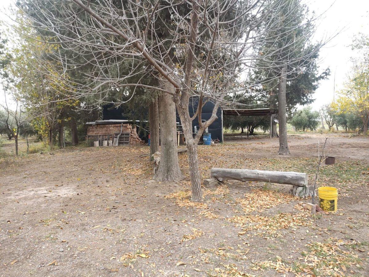 Foto de VENTA FINCA 75 Ha c/pozo - La Dormida, imagen 4