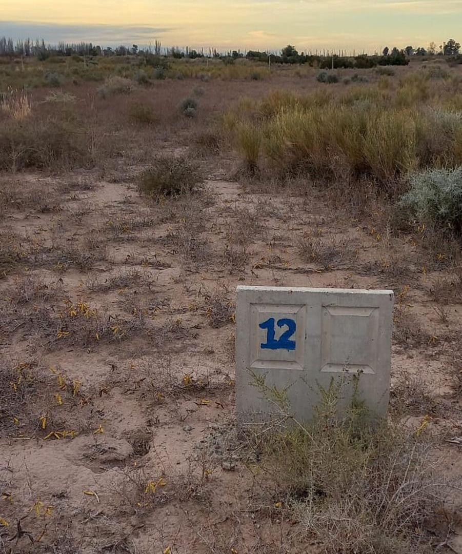 Foto de LOTE EN VENTA, imagen 2