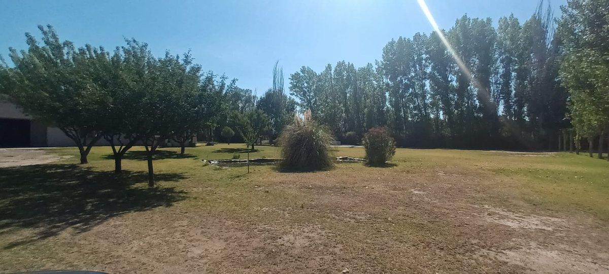 Foto de Lotes en venta Bª Ancellota-San Martín - Mendoza, imagen 4