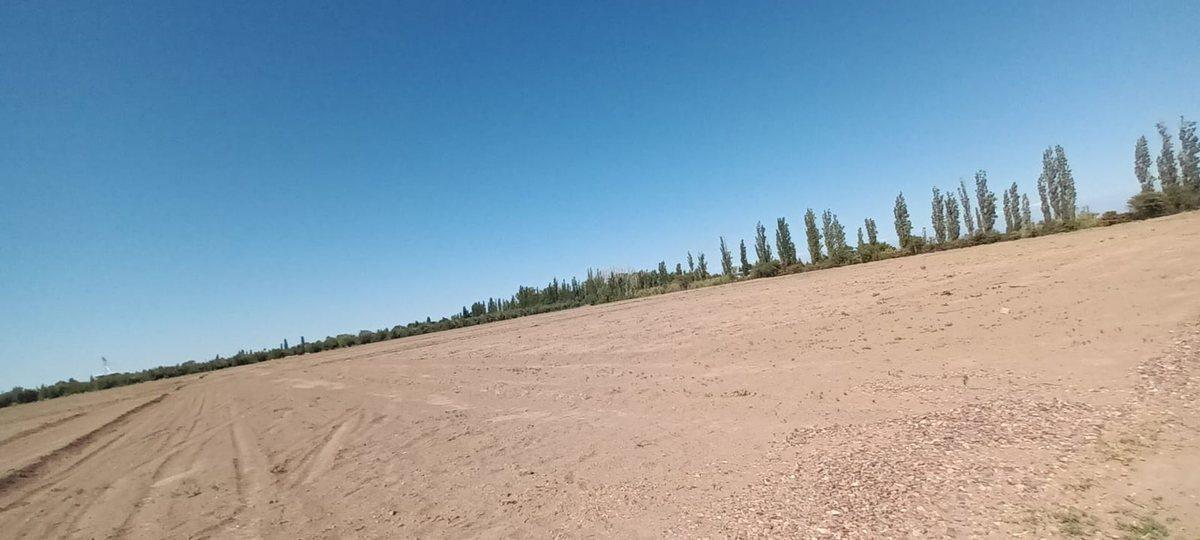 Foto de Lotes en venta Bª Ancellota-San Martín - Mendoza, imagen 3