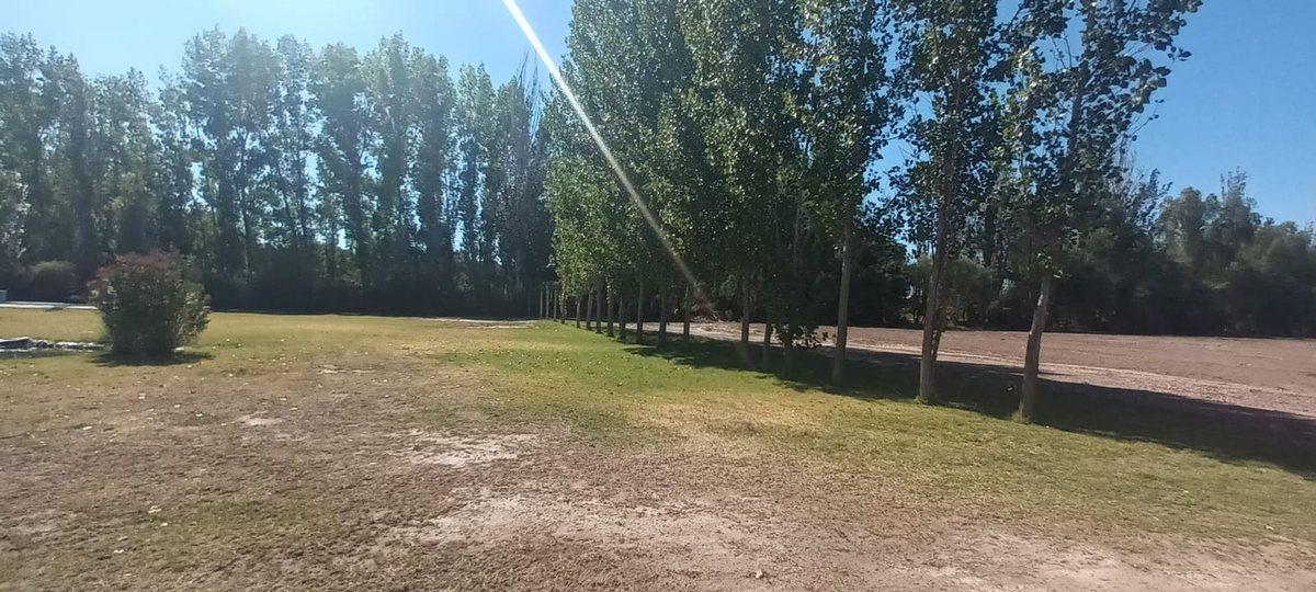 Foto de Lotes en venta Bª Ancellota-San Martín - Mendoza, imagen 2