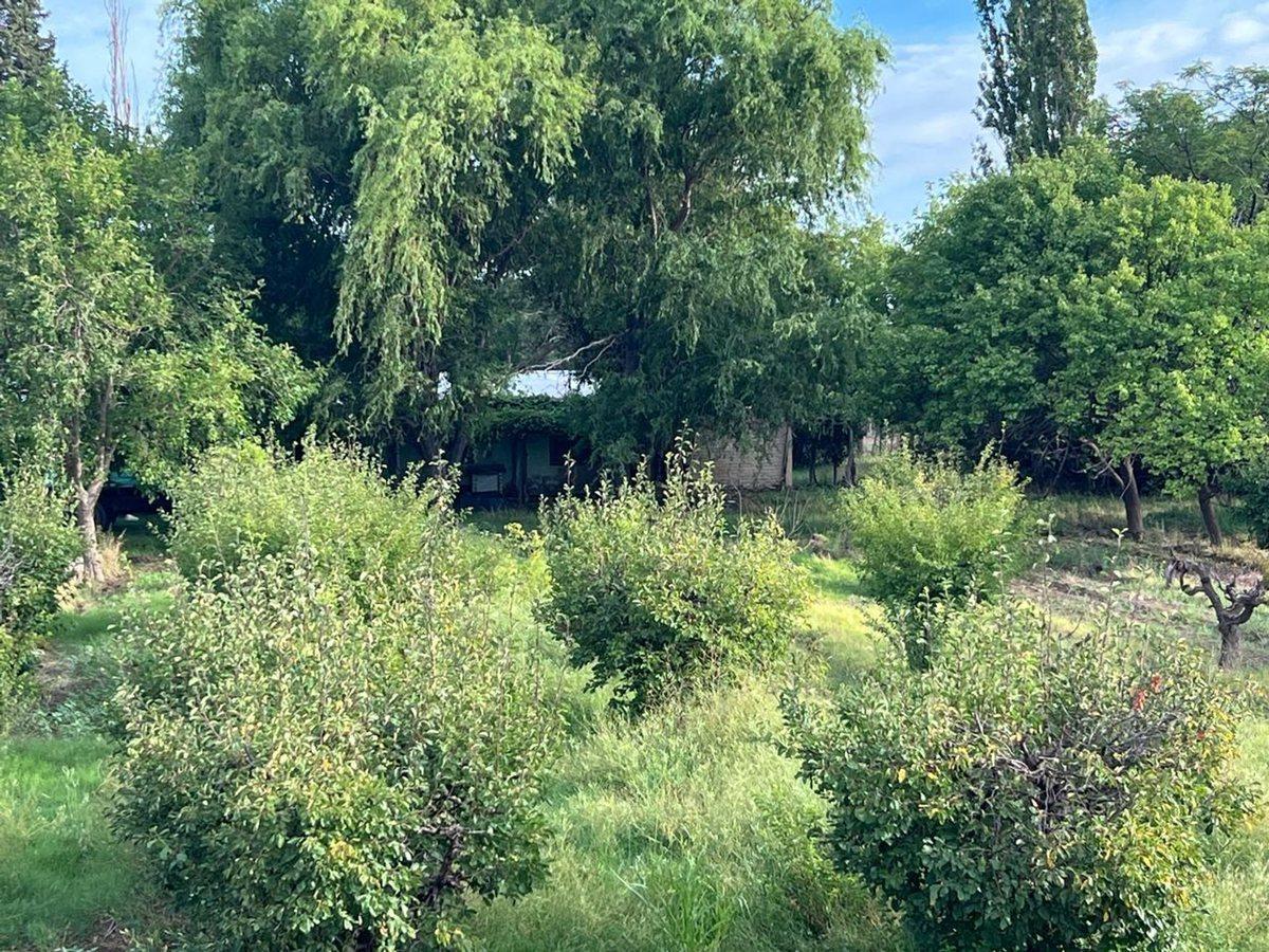Foto de venta finca en produccion chapanay, imagen 3