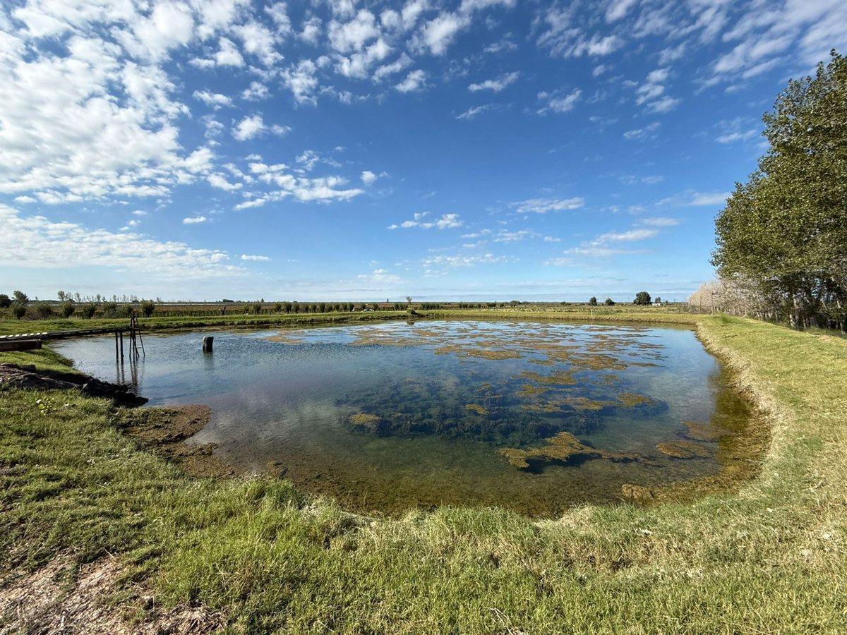 Foto de VENTA FINCA EN SANTA ROSA CON POZO, imagen 2