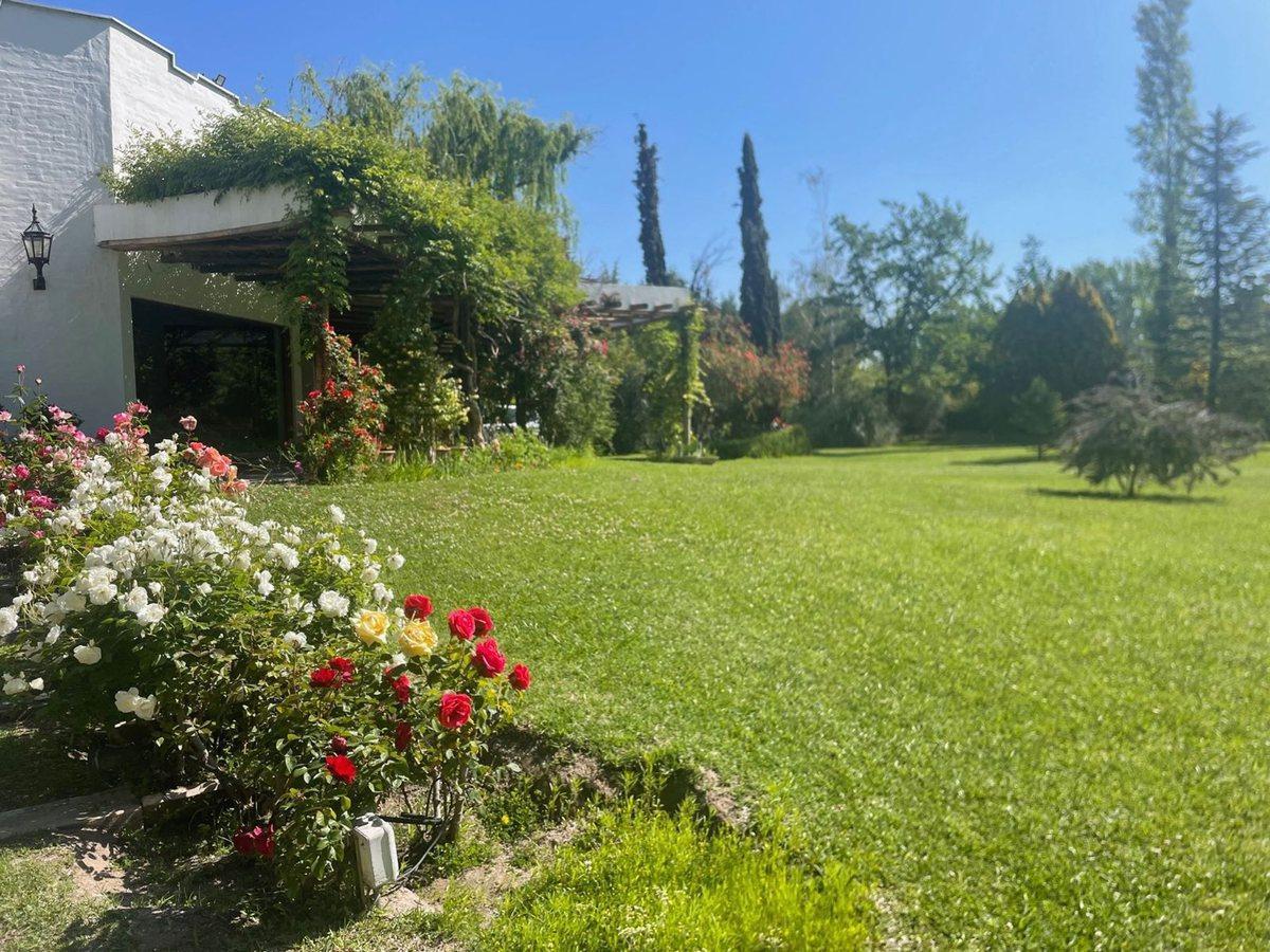 Foto de VENTA-CASA BARRIO LA CAPILLA-VISTALBA-MENDOZA, imagen 3