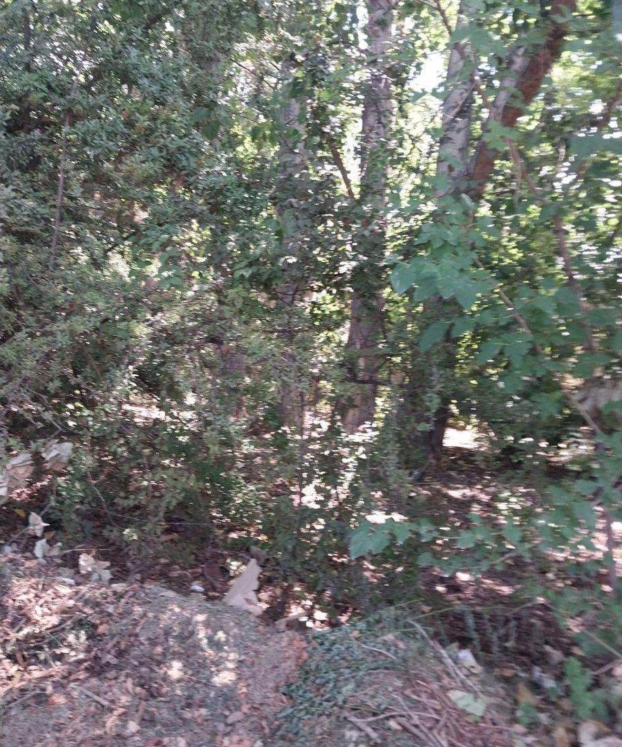 Foto de VENTA DE LOTES EXCLUSIVOS, IDEALES BARRIO PRIVADO, imagen 1