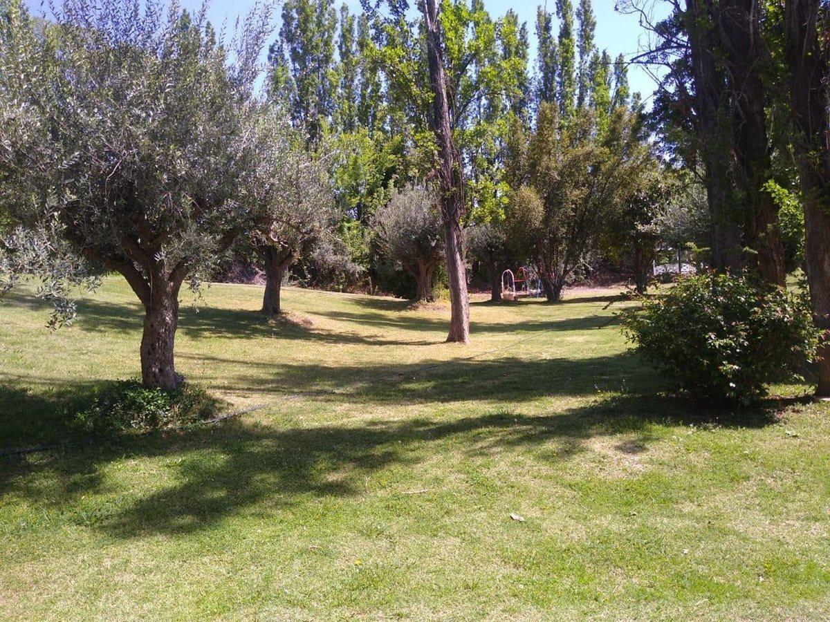 Foto de Casa en venta Vistalba, Mendoza, imagen 4