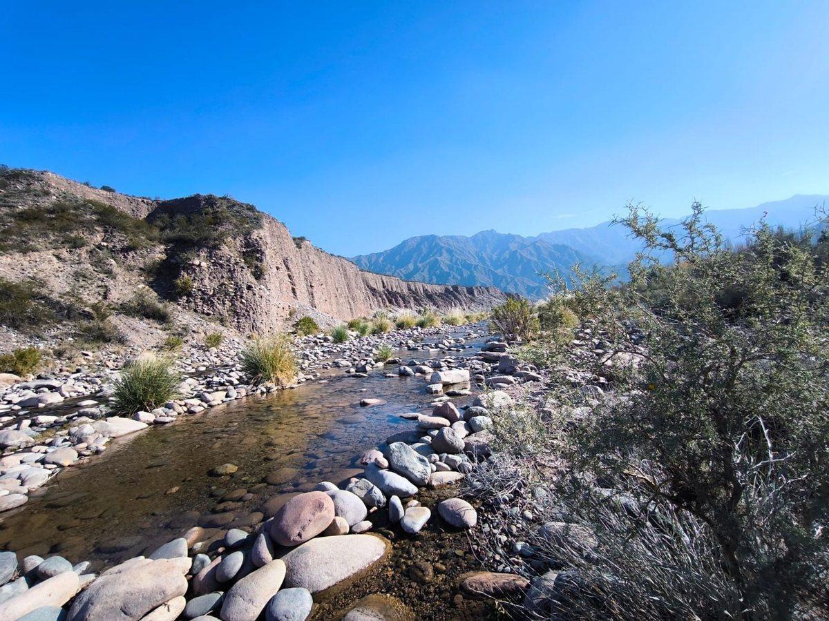 Foto de VENTA LOTE COLONIA SUIZA ZONA "ENTRE DOS" RUTA 82, imagen 5