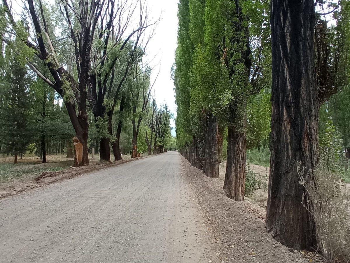 Foto de Venta Lote Comercial y Residencial Uspallata Mza, imagen 5