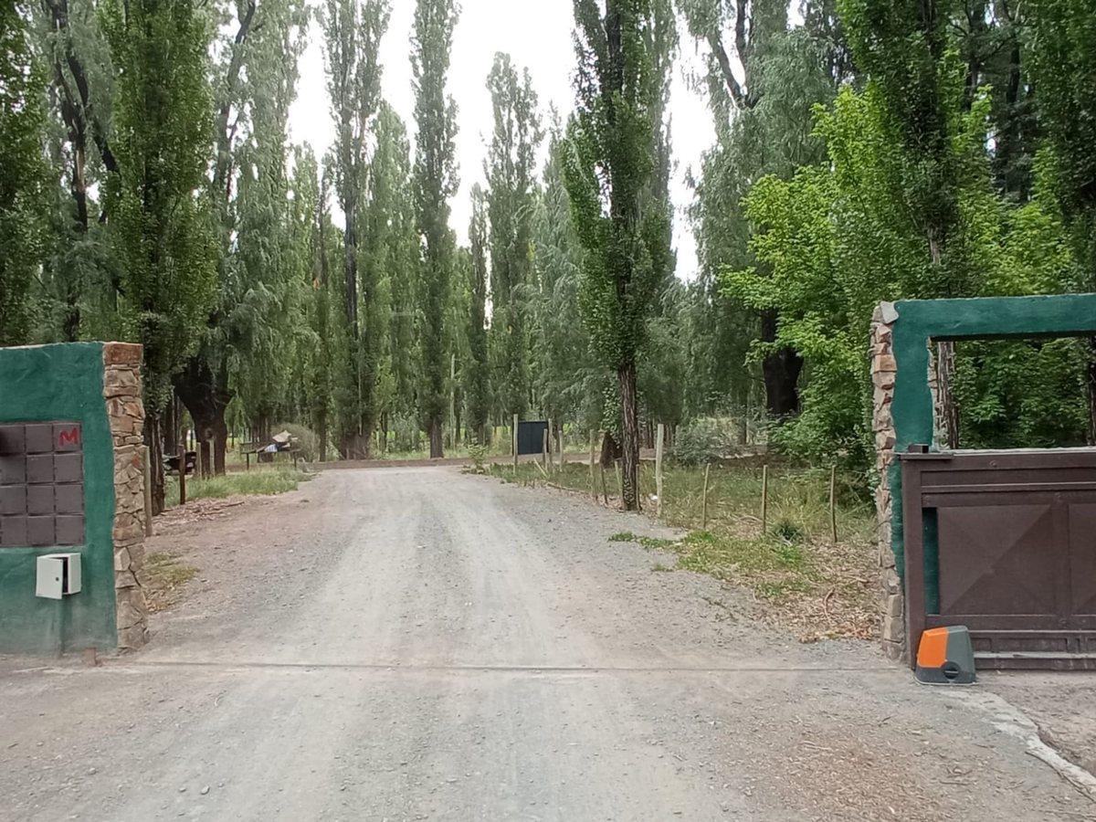 Foto de Venta Lote Comercial y Residencial Uspallata Mza, imagen 3