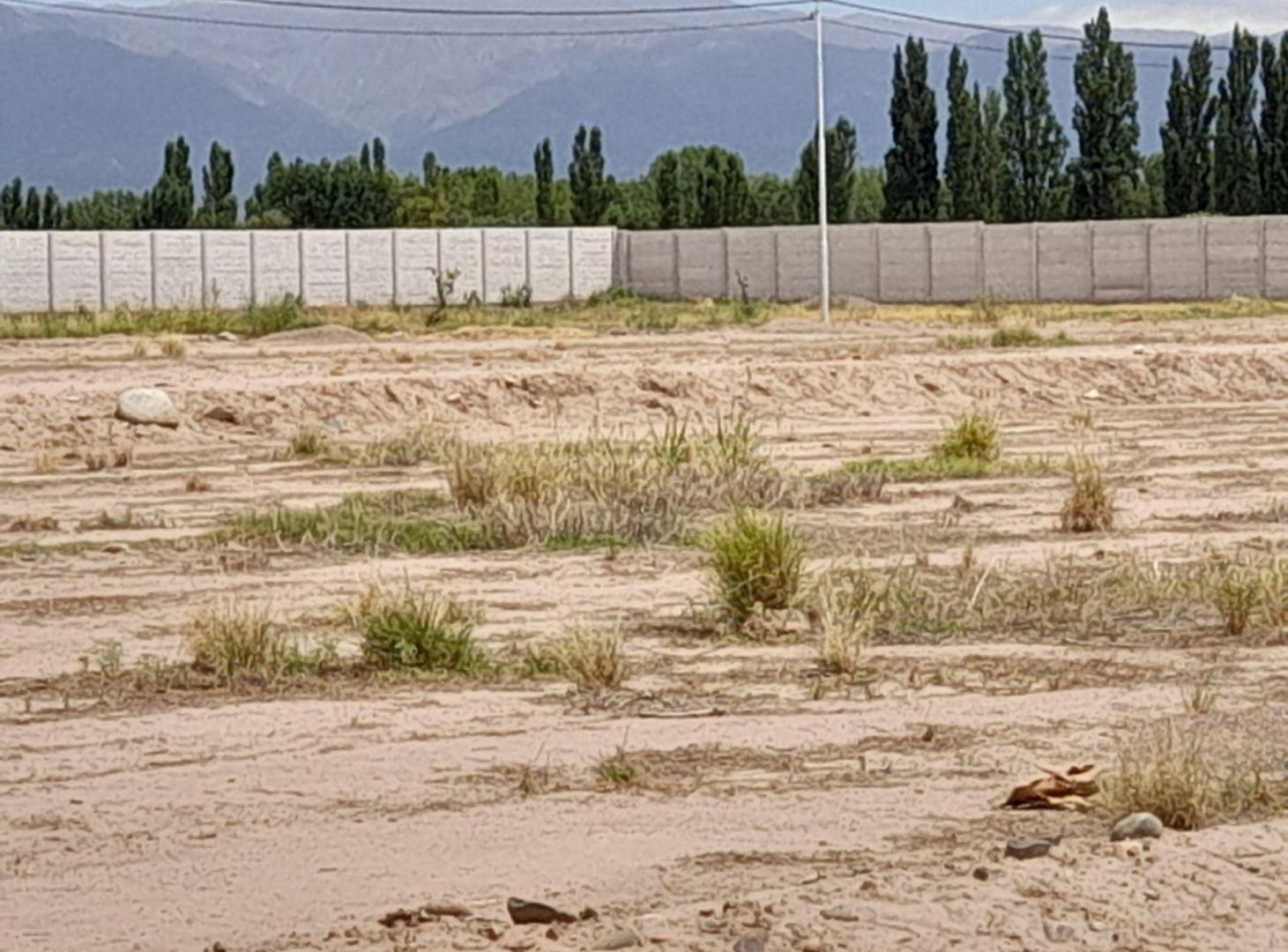 Foto de Lote en venta Maipu Mendoza, imagen 3
