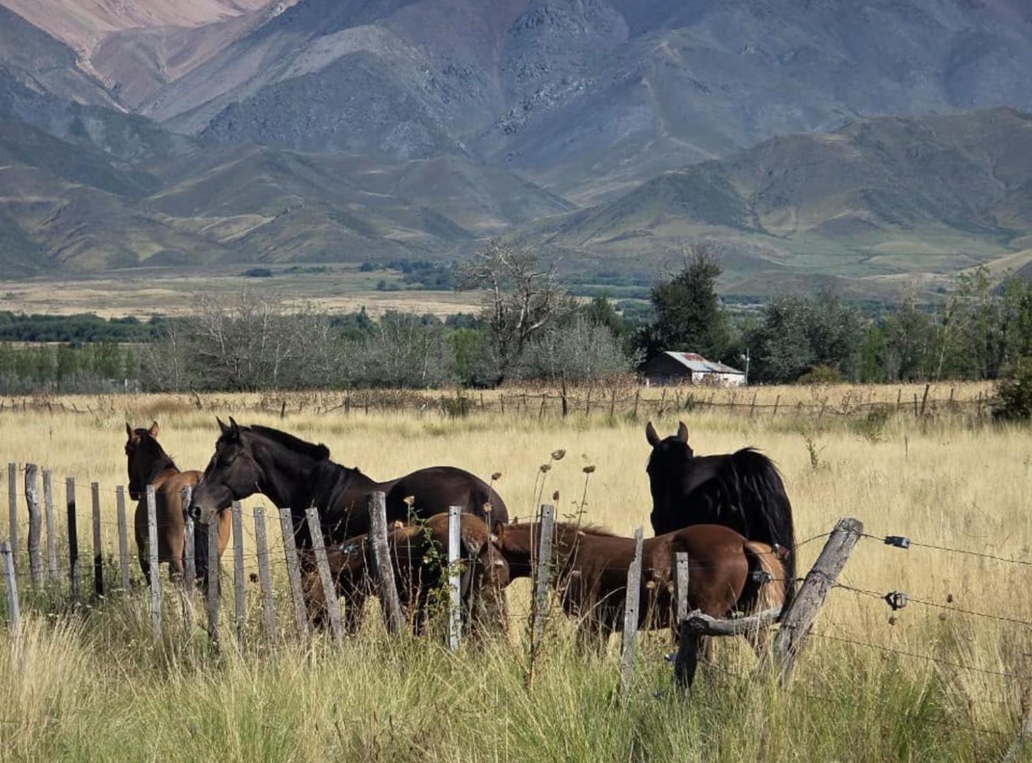 Foto de Venta lote Balcones de Tupungato La Carrera Mendoz, imagen 1