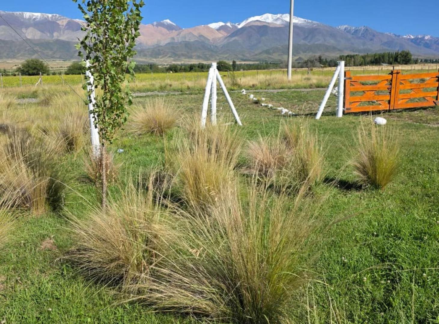 Foto de Venta lote Balcones de Tupungato La Carrera Mendoz, imagen 4