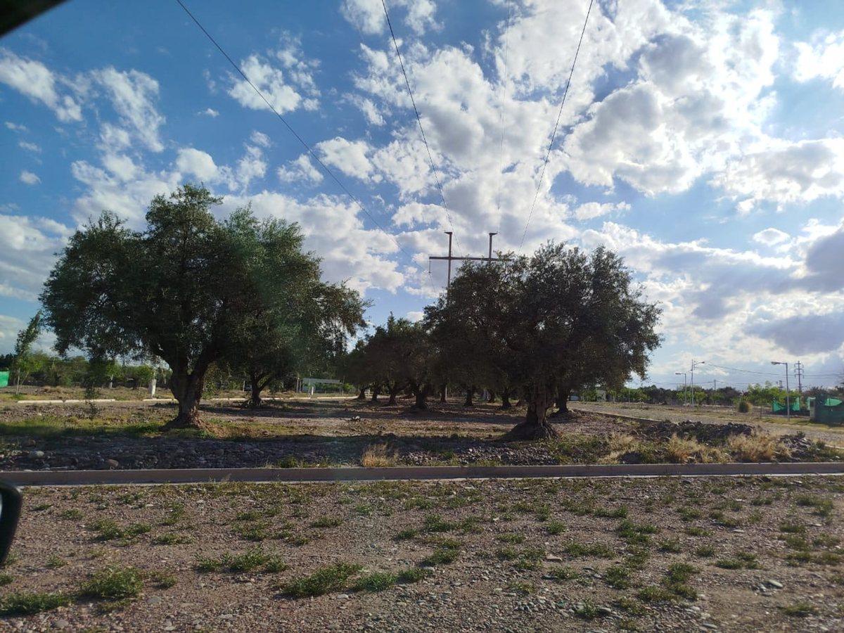 Foto de VENTA DE LOTE EN BARRIO AMPROS VIII, imagen 5