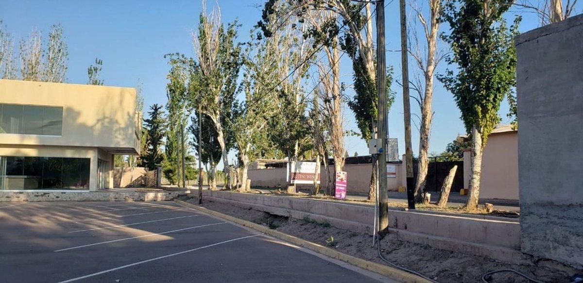 Foto de LOTE CENTRAL B° LAS TACAS, imagen 3