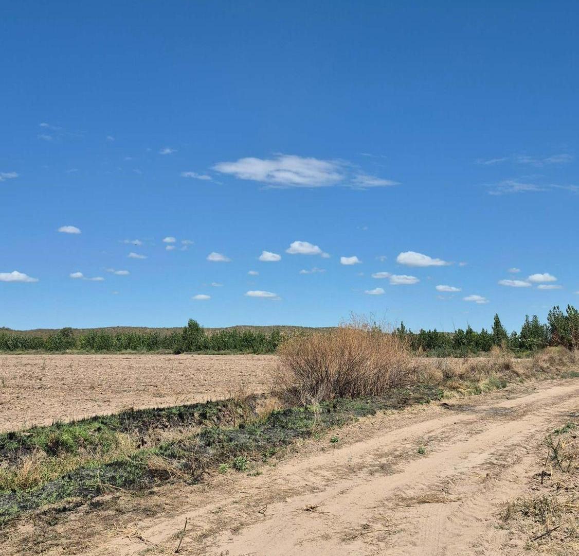 Foto de VENTA DE FINCA EN SAN CARLOS, imagen 3