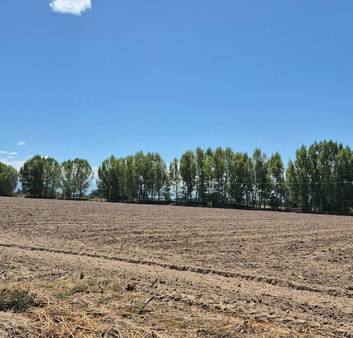 Foto de VENTA DE FINCA EN SAN CARLOS, imagen 1
