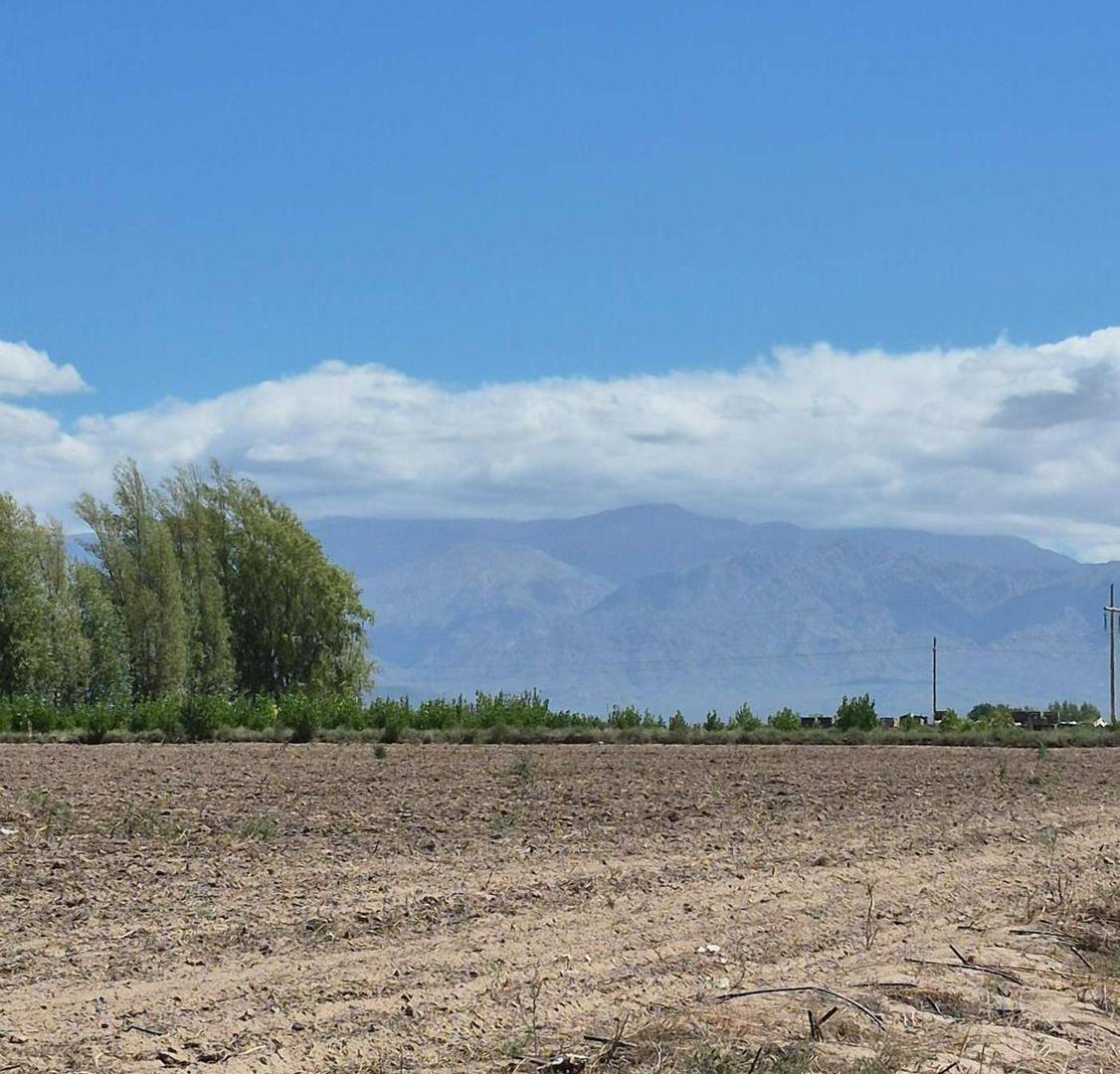 Foto de VENTA DE FINCA EN SAN CARLOS, imagen 4
