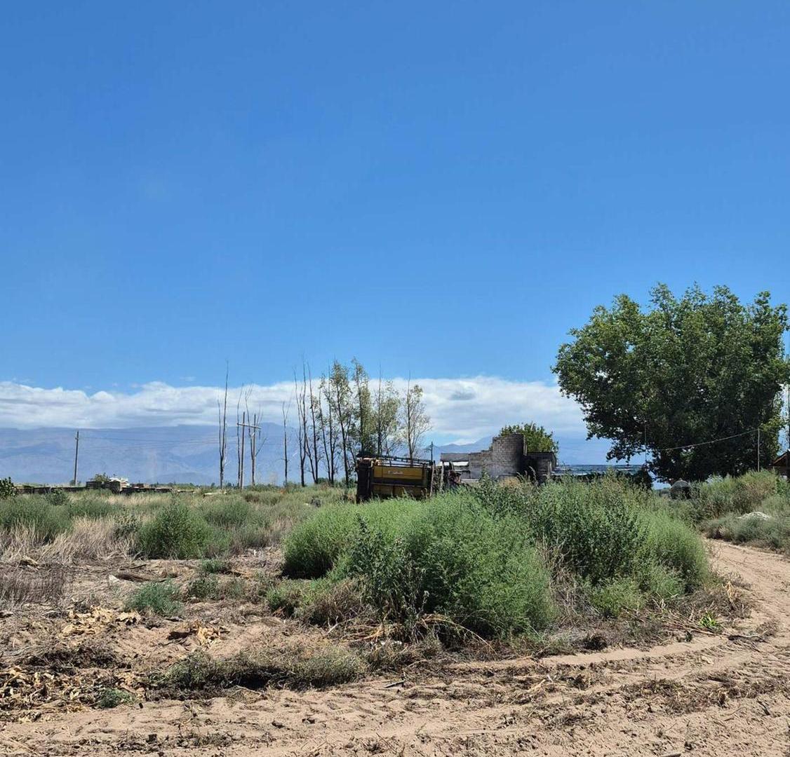 Foto de VENTA DE FINCA EN SAN CARLOS, imagen 2