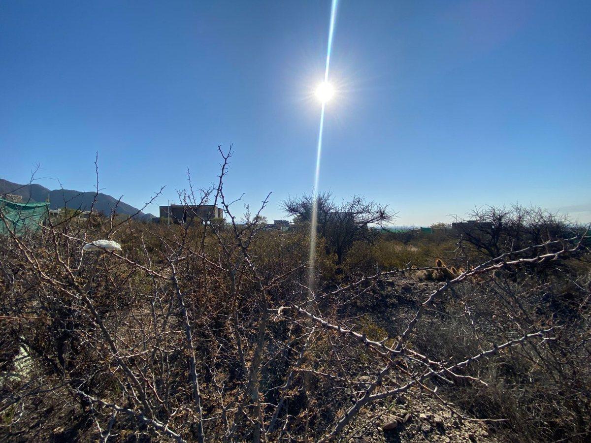 Foto de Lote en Venta Mendoza Norte - Valle Norte, imagen 5