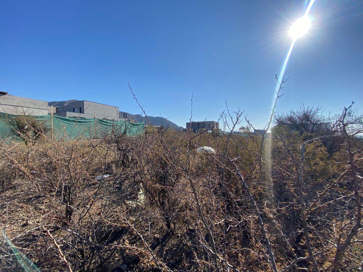 Foto de Lote en Venta Mendoza Norte - Valle Norte, imagen 4