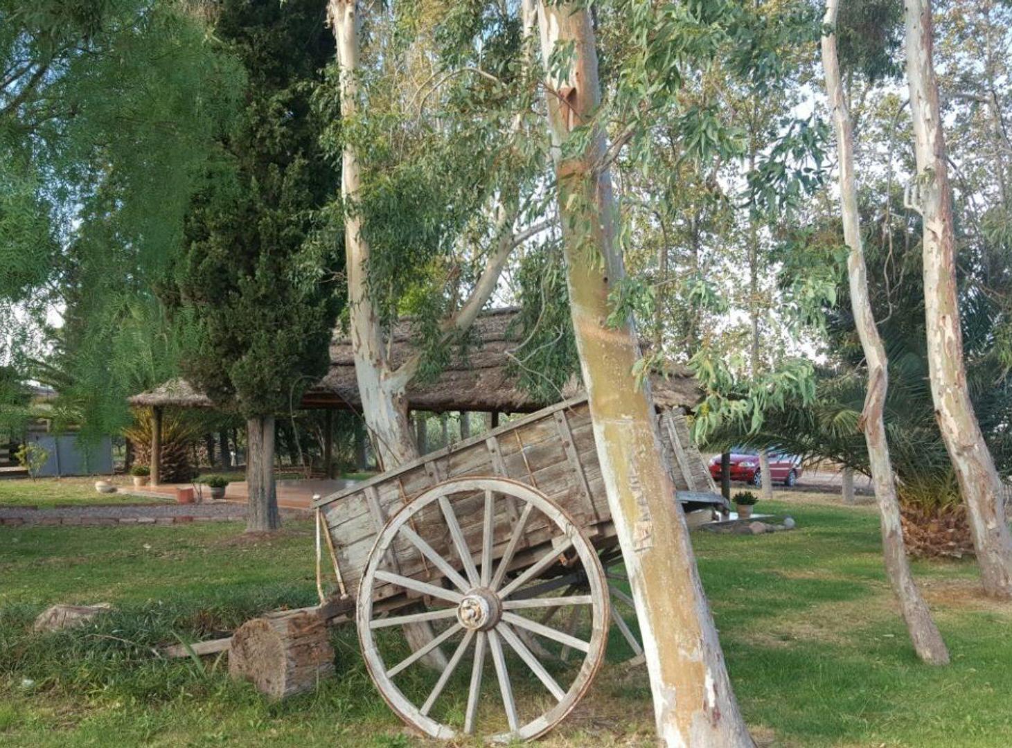Foto de QUINTA 1 HECT CASA CON OLIVOS, BELTRÁN, MAIPÚ., imagen 4