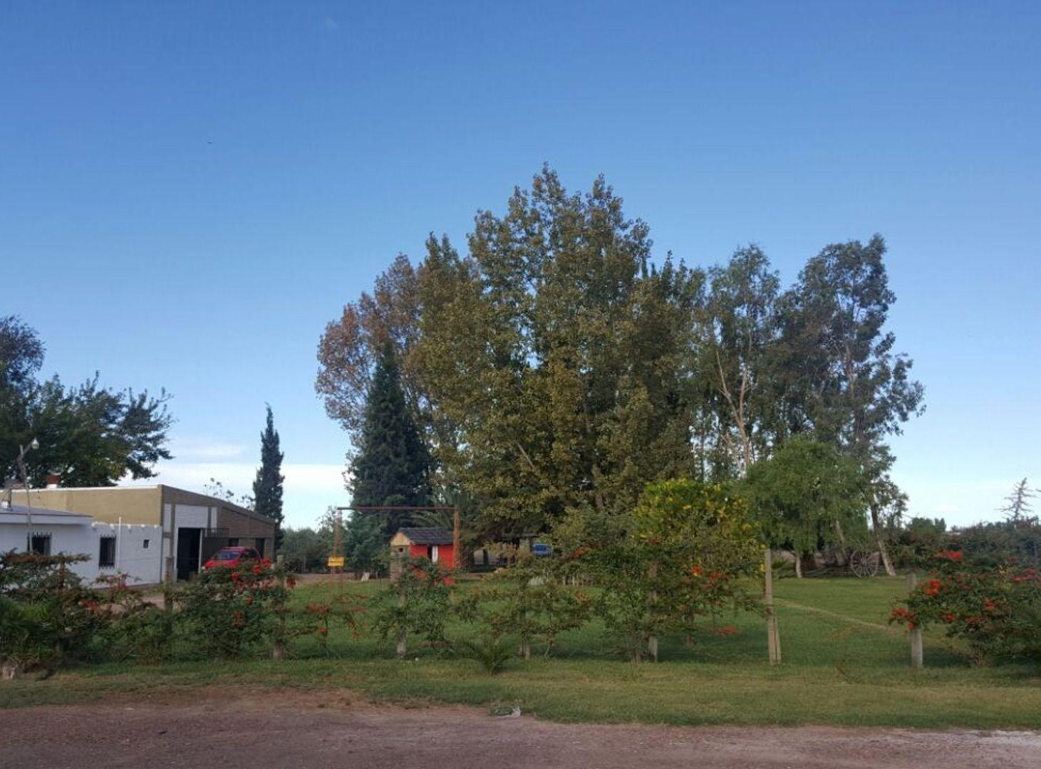 Foto de QUINTA 1 HECT CASA CON OLIVOS, BELTRÁN, MAIPÚ., imagen 1