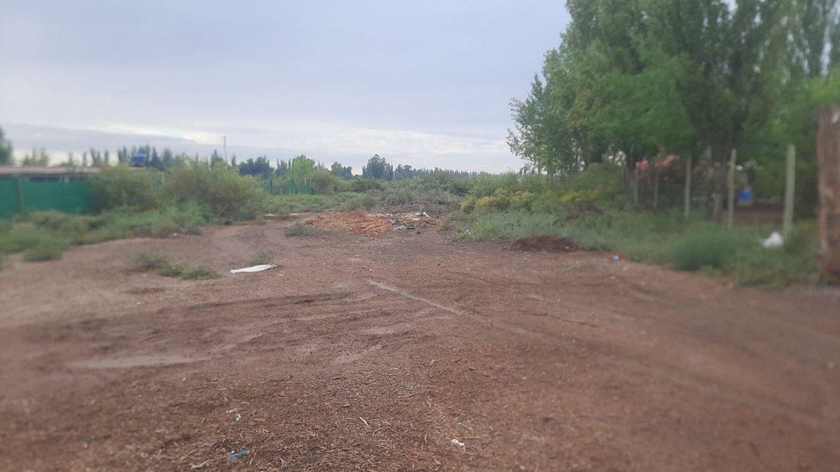 Foto de Venta terreno Zona Industrial Lavalle Mendoza 6Ha, imagen 4