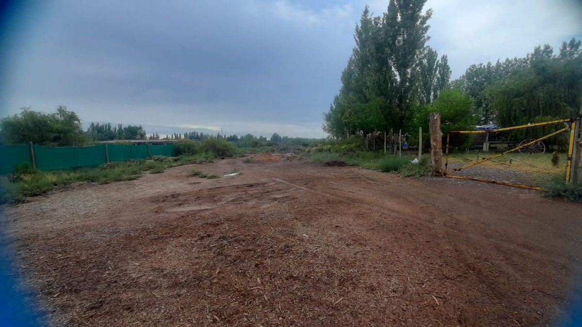 Foto de Venta terreno Zona Industrial Lavalle Mendoza 6Ha, imagen 1
