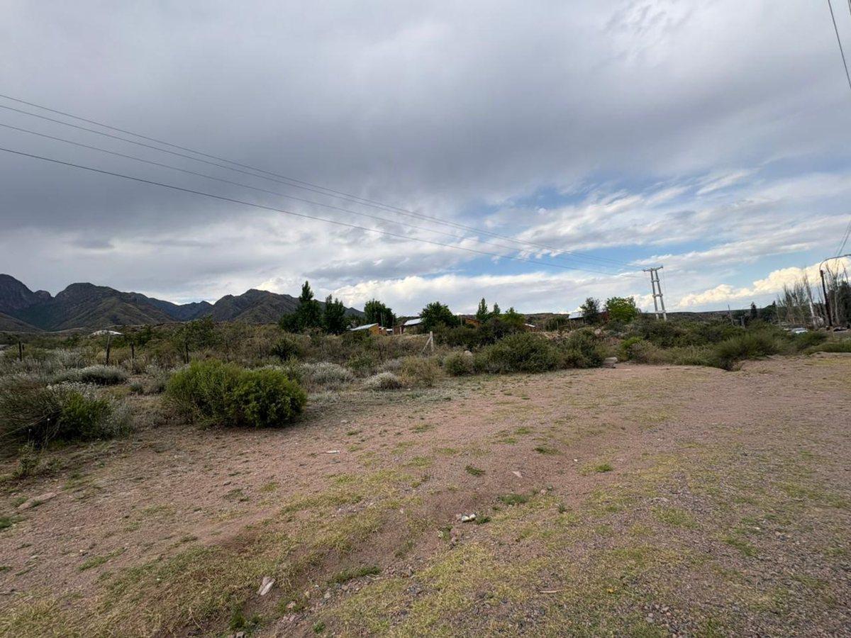Foto de VENTA DE TERRENO 5000M2 ZONA DEL RINCON SUIZO, imagen 3
