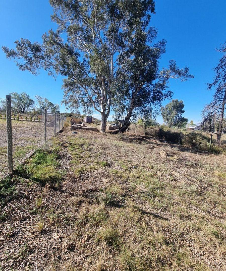 Foto de VENTA LOTE EN EL CARRIZAL!! LUJÁN DE CUYO, imagen 3