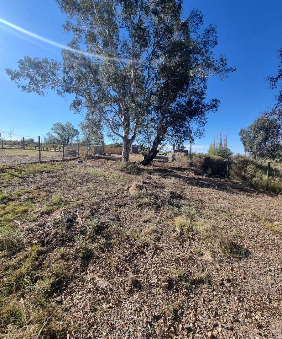 Foto de VENTA LOTE EN EL CARRIZAL!! LUJÁN DE CUYO, imagen 4