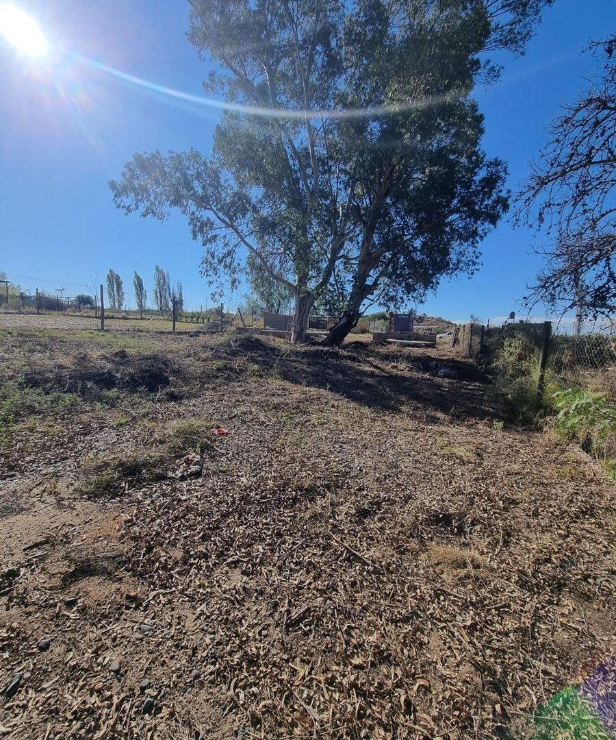Foto de VENTA LOTE EN EL CARRIZAL!! LUJÁN DE CUYO, imagen 2