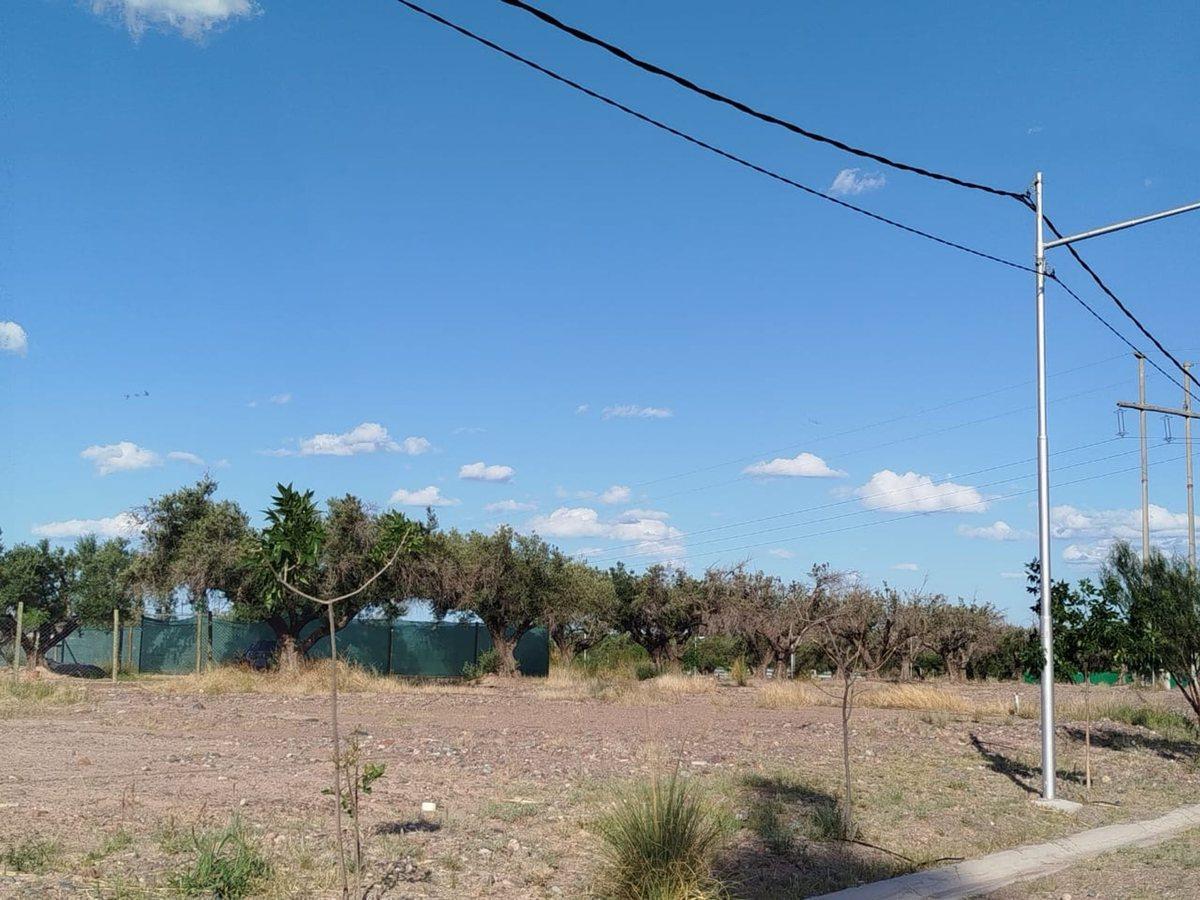 Foto de VENTA LOTE BARRIOS AMPROS VIII, imagen 2