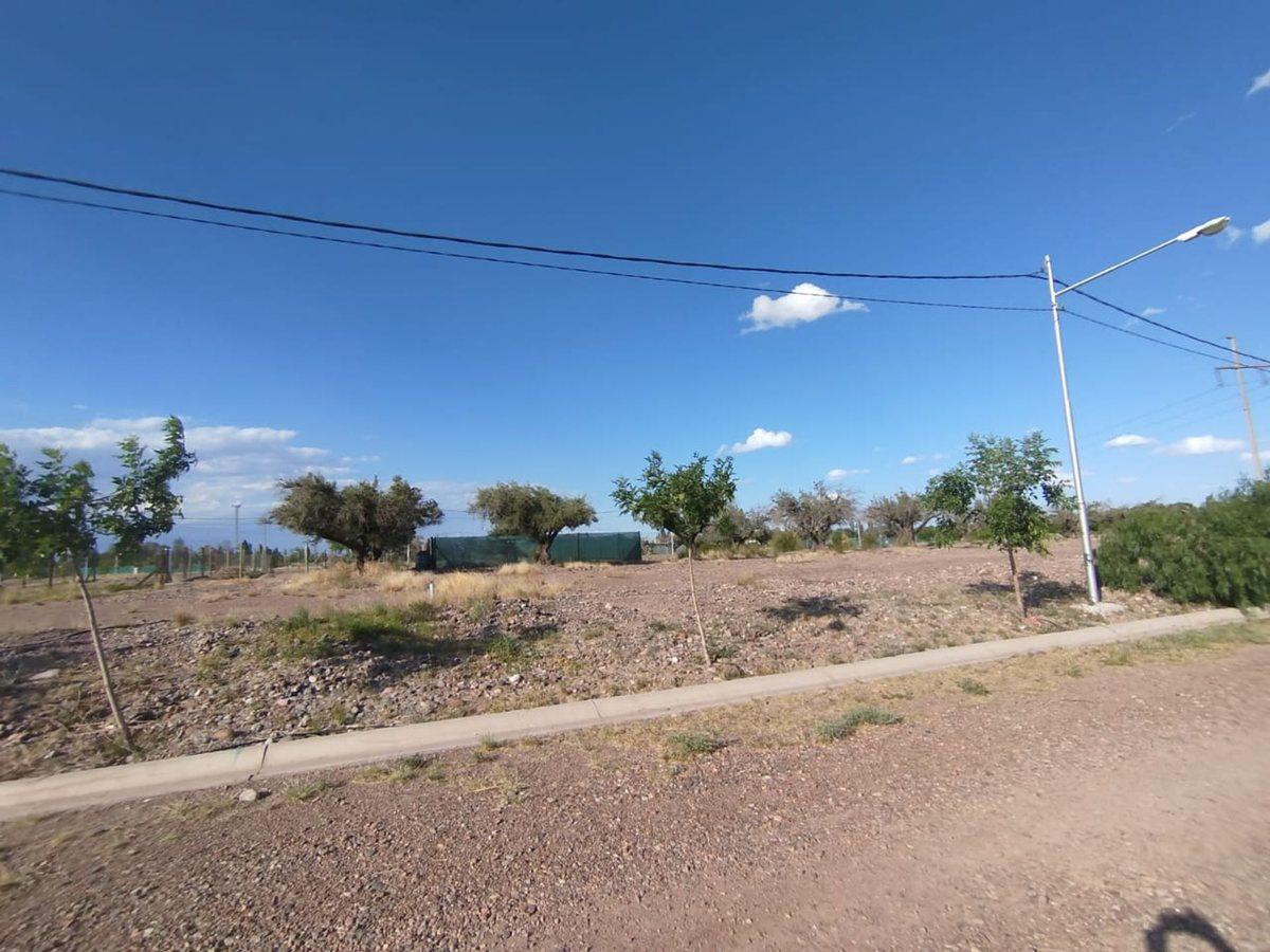 Foto de VENTA LOTE BARRIOS AMPROS VIII, imagen 4