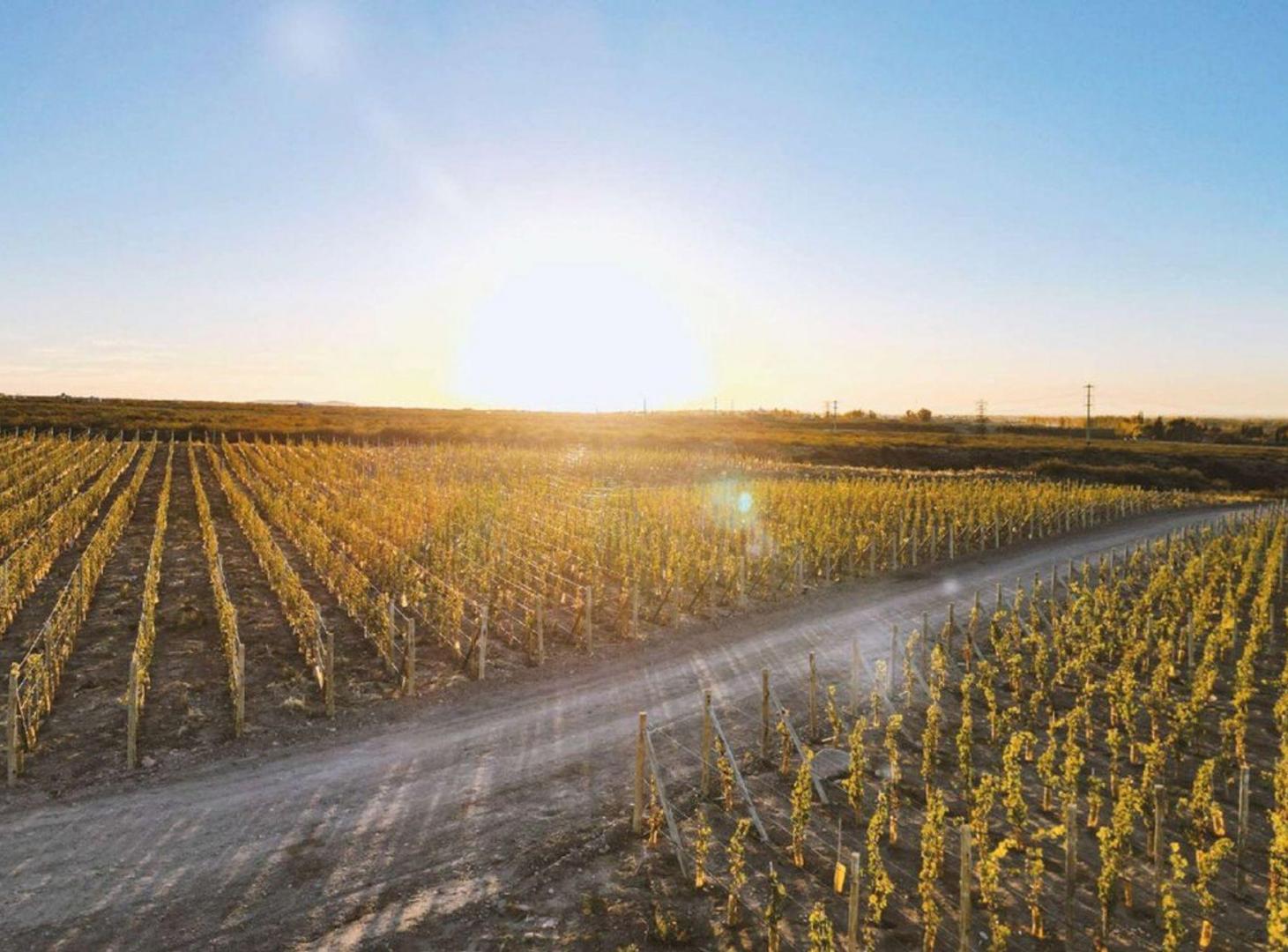 Foto de LOTE EN VENTA ESTANCIA EL CARAMILLO LUJAN DE CUYO, imagen 1